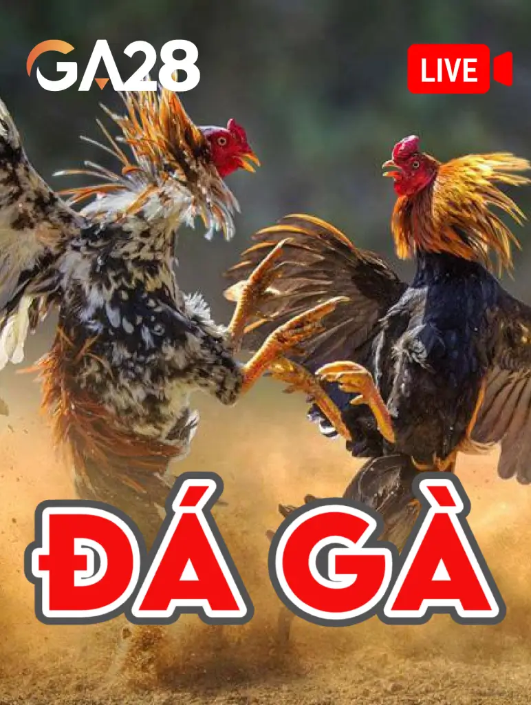 Đá Gà GA28 K88