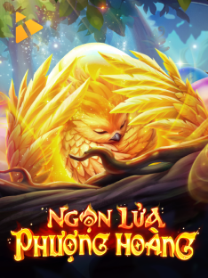 Ngọn lửa phượng hoàng KBET