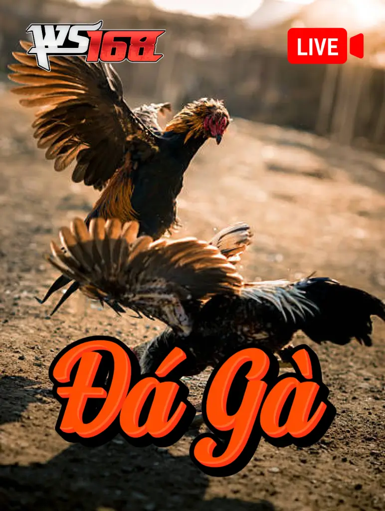 Đá Gà WS168 K88