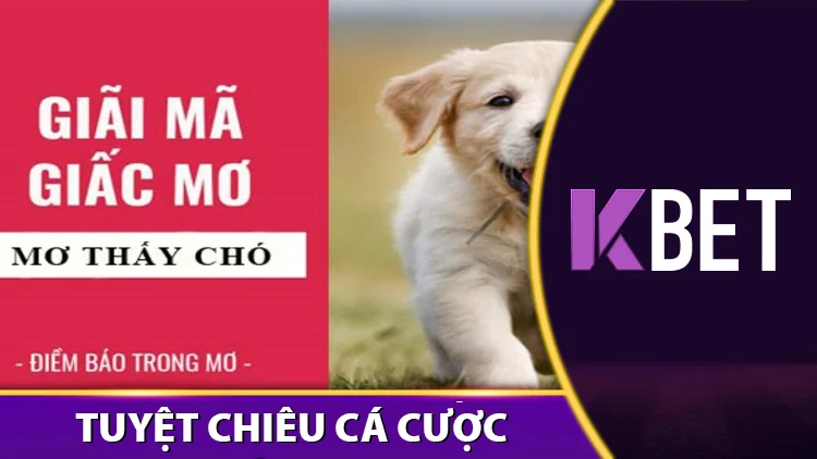 Giải Mã Giấc Mơ 4/4 Kbet – Mơ Thấy Chó, Đánh Con Gì Chuẩn? K88