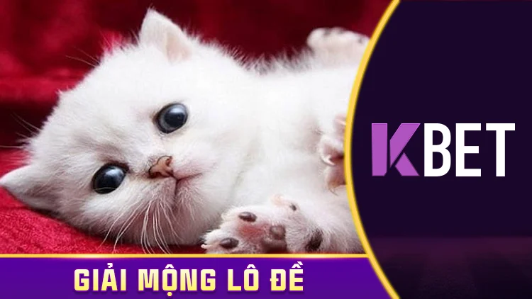 Giải Mã Giấc Mơ 13/4 Kbet – Mơ Thấy Mèo, Đánh Số Gì Để Trúng Đậm? KBET