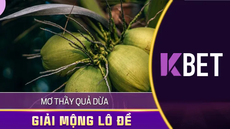 Giải Mã Giấc Mơ 25/4 Kbet – Mơ Thấy Quả Dừa, Đánh Số Nào Để Trúng Lớn? KBET