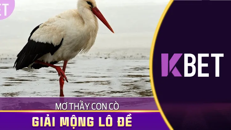 Giải Mã Giấc Mơ 23/4 Kbet – Mơ Thấy Con Cò, Số Nào Đem Lại Lộc? KBET