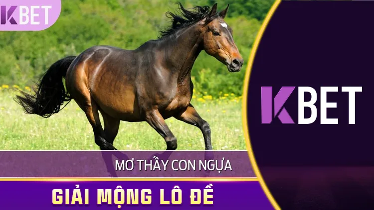 Giải Mã Giấc Mơ 24/4 Kbet – Mơ Thấy Con Ngựa, Điềm Gì, Đánh Con Số Nào? KBET