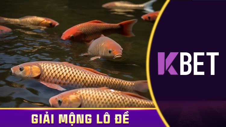 Mơ thấy cá chép ngày 08/04 – Dấu hiệu thi cử hay tài lộc? KBET